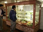[pict0016.JPG]