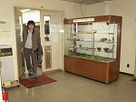 [pict0019.JPG]